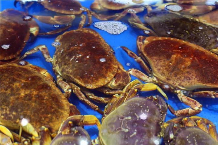 【時代儒商】膠東碼頭海鮮城淮揚(yáng)菜、魯菜、海鮮超多美味！滿足您的味蕾~~