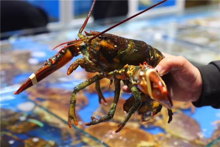 【時代儒商】膠東碼頭海鮮城淮揚(yáng)菜、魯菜、海鮮超多美味！滿足您的味蕾~~