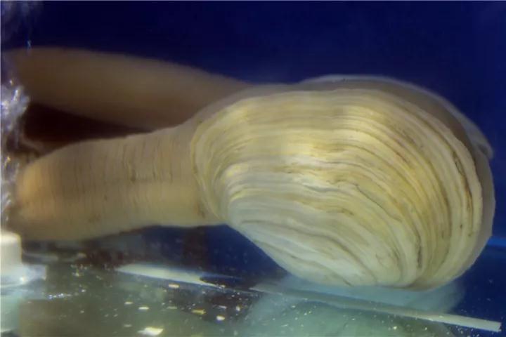 【時代儒商】膠東碼頭海鮮城淮揚(yáng)菜、魯菜、海鮮超多美味！滿足您的味蕾~~