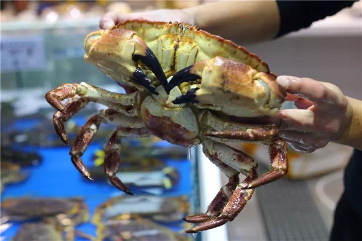 【時代儒商】膠東碼頭海鮮城淮揚(yáng)菜、魯菜、海鮮超多美味！滿足您的味蕾~~