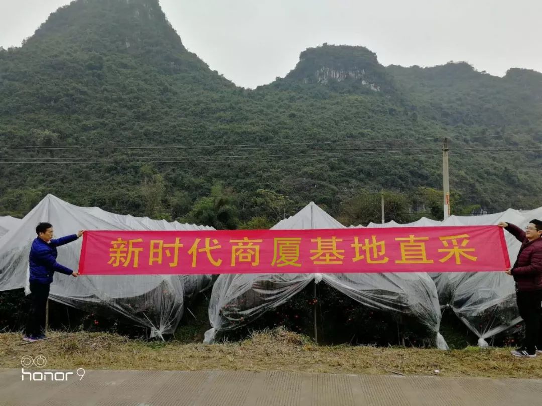 新時代商廈｜誠信315 信用讓消費更放心！